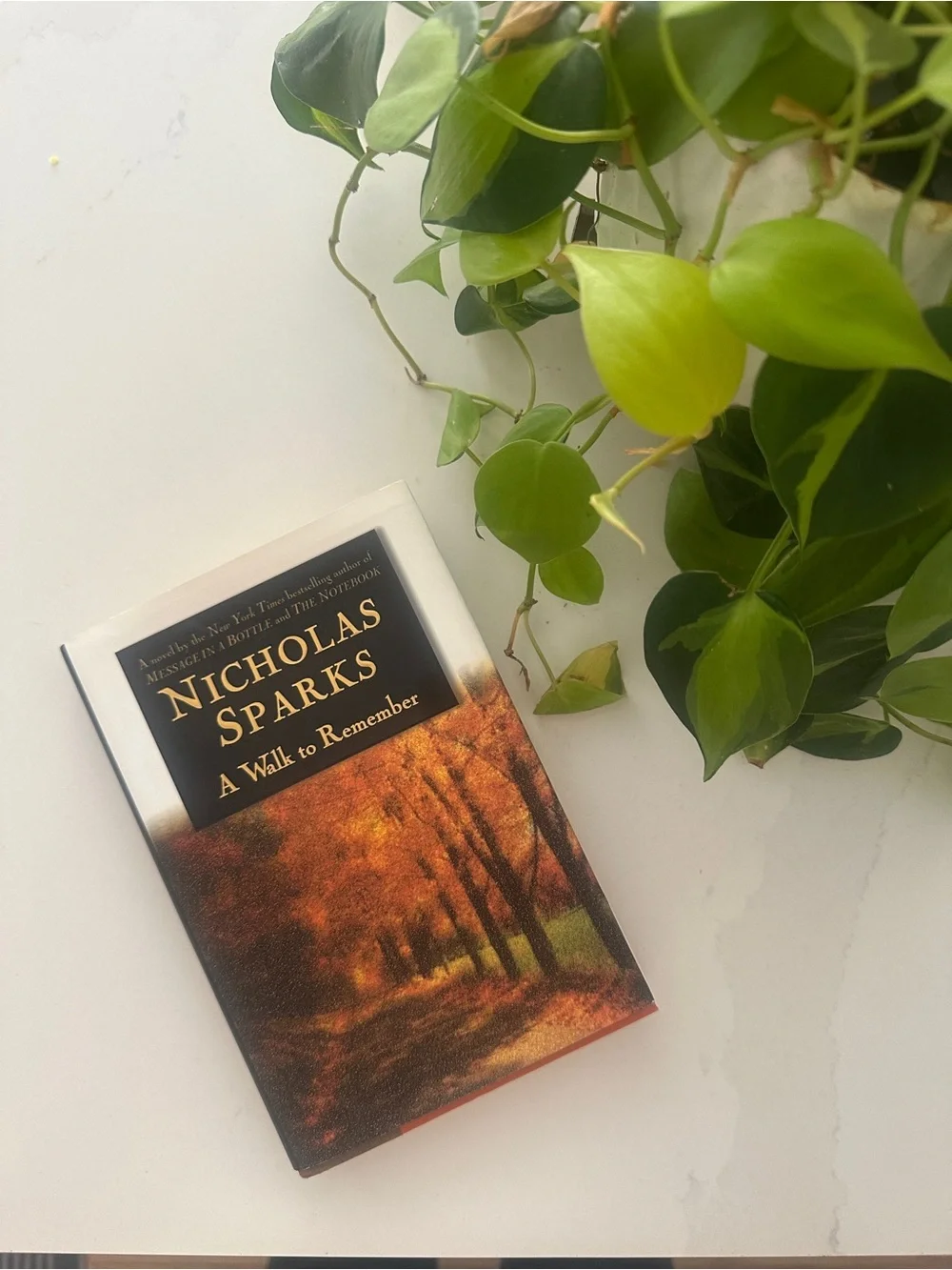A Walk to Remember 1st Edition Nicholas Sparks Hb